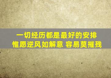 一切经历都是最好的安排 惟愿逆风如解意 容易莫摧残